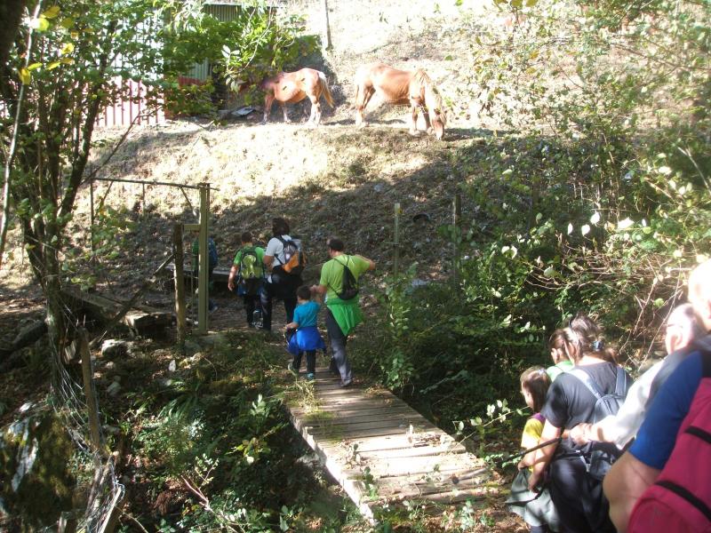 Gaztetxoentzako mendi irteera 2015-10-31 albistearen irudiak