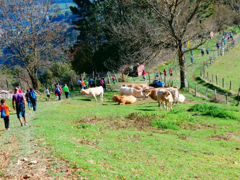 Gaztetxoentzako mendi irteera 2015-10-31 albistearen irudiak