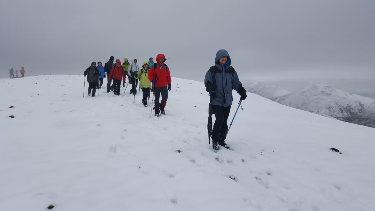 DANTXARINEA - ANTSESTEGI - AMAIUR  2017-01-15 jardueraren irudiak