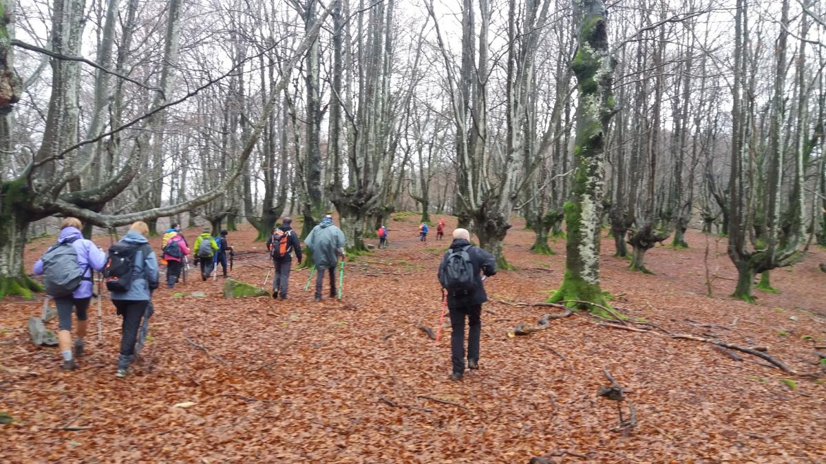 ETXAGUEN - OKETA - LEGUTIO 2018.01.21 jardueraren irudiak