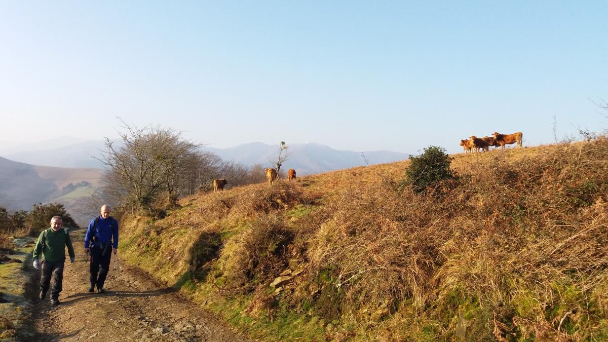 Imágenes de la actividad GOIZUETA - IZU - UNANUA - IGANTZI  25-02-2018