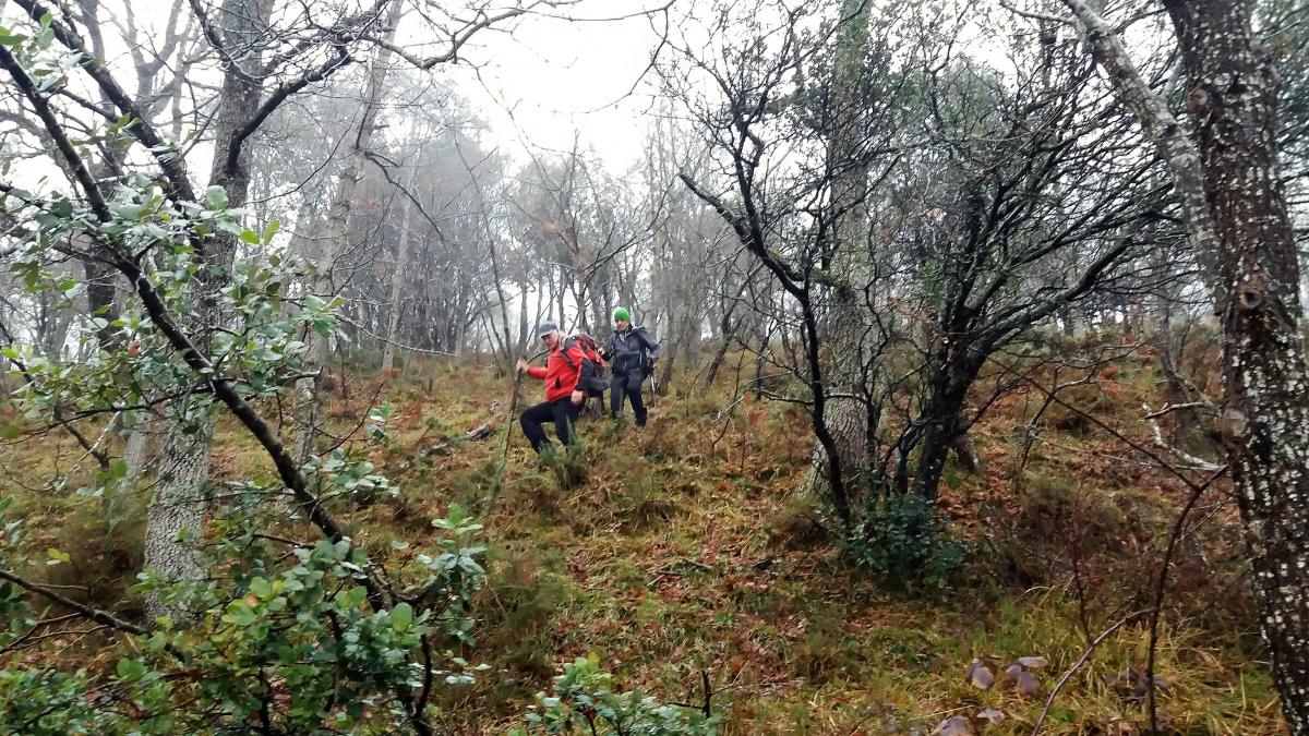 Imágenes de la actividad SANTUARIO DE ORO - ARMIKELO - MURGIA 13-01-2019