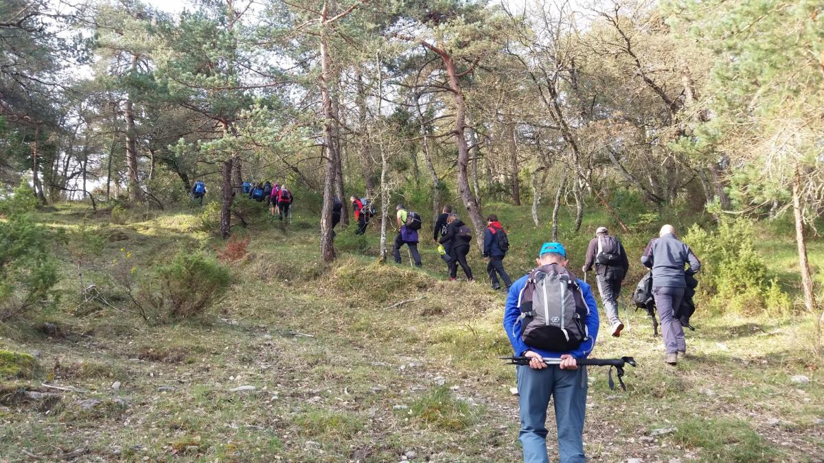 Imágenes de la actividad ANDAGOIA - MARINDA - IZARRA  14-04-2019