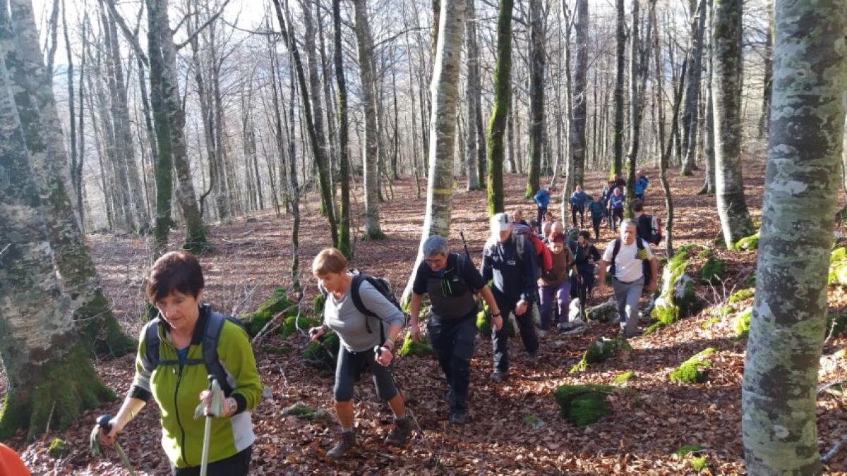 Imágenes de la actividad ARBIZU - PUTXERRI - LIZARRUSTI 15-12-2019