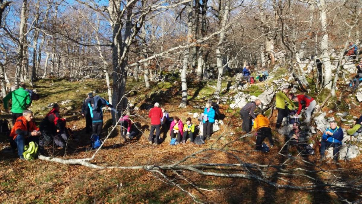 Imágenes de la actividad ARBIZU - PUTXERRI - LIZARRUSTI 15-12-2019