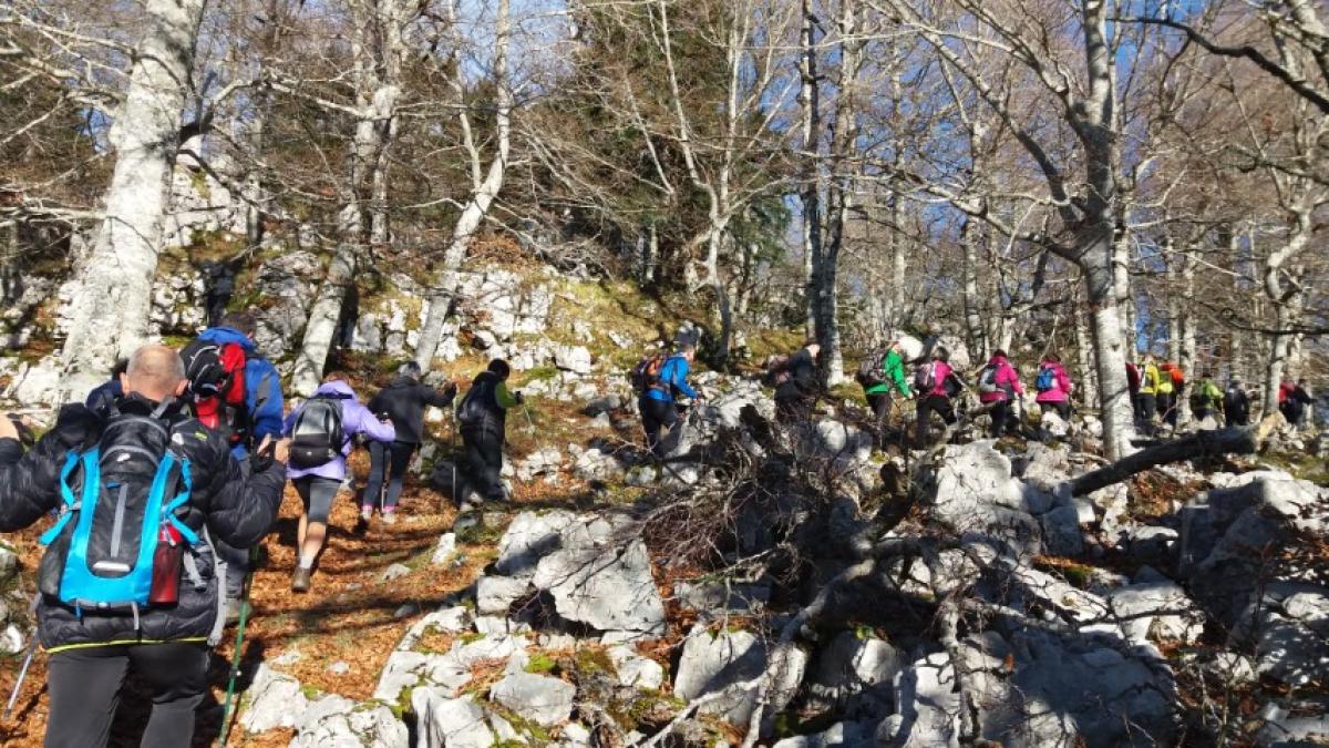 Imágenes de la actividad ARBIZU - PUTXERRI - LIZARRUSTI 15-12-2019