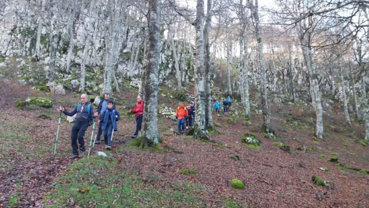 Imágenes de la actividad ARBIZU - PUTXERRI - LIZARRUSTI 15-12-2019