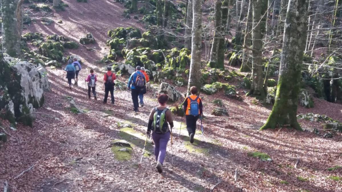 Imágenes de la actividad ARBIZU - PUTXERRI - LIZARRUSTI 15-12-2019