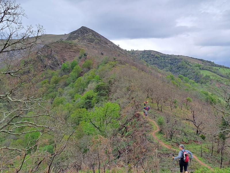 BIDARRAI - LARLA - JARA - IRULEGI 2023-04-23 jardueraren irudiak