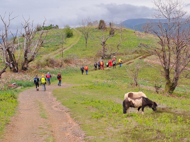 BIDARRAI - LARLA - JARA - IRULEGI 2023-04-23 jardueraren irudiak