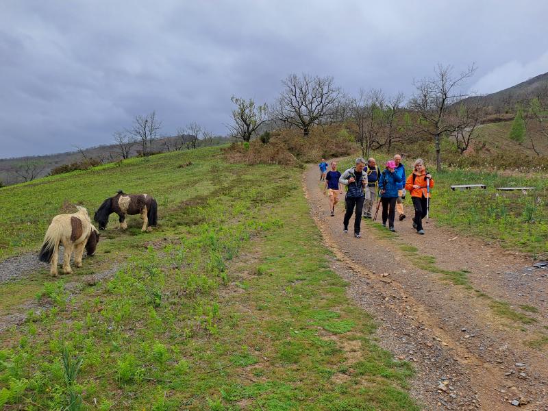 BIDARRAI - LARLA - JARA - IRULEGI 2023-04-23 jardueraren irudiak