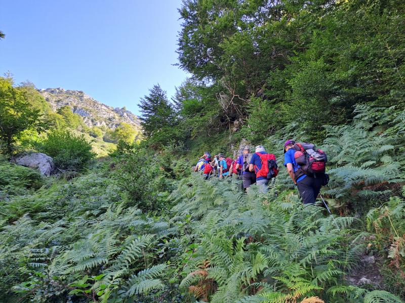 REDES PARKE NATURALA  2024/08/19-25 jardueraren irudiak