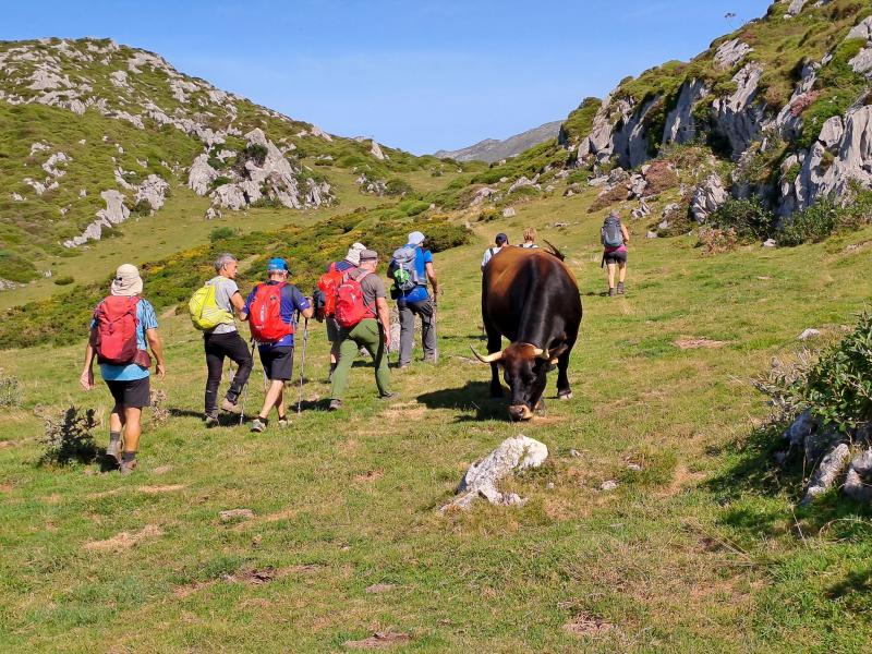 REDES PARKE NATURALA  2024/08/19-25 jardueraren irudiak