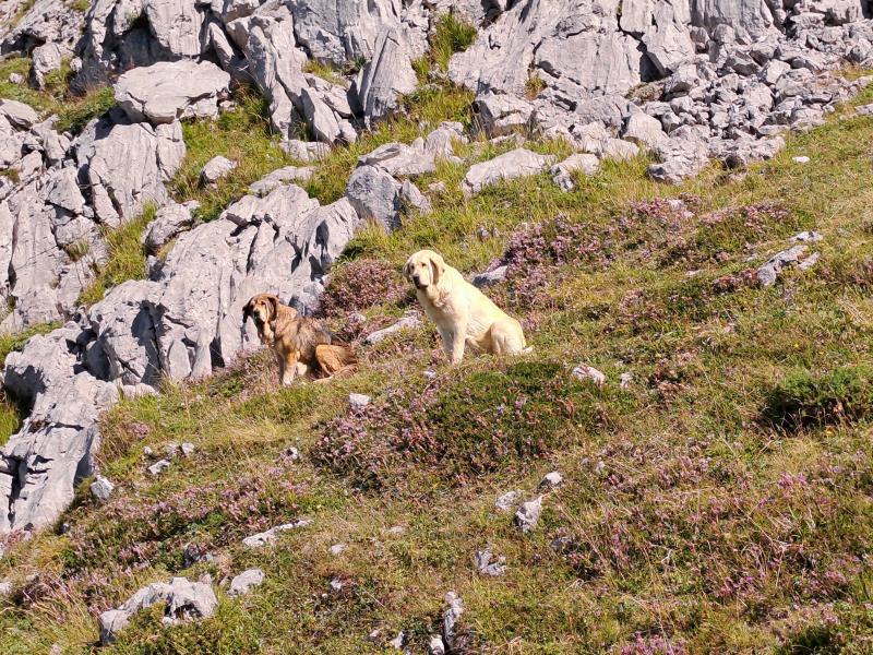 REDES PARKE NATURALA  2024/08/19-25 jardueraren irudiak