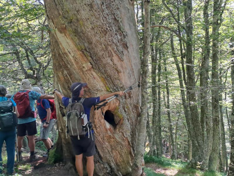 REDES PARKE NATURALA  2024/08/19-25 jardueraren irudiak