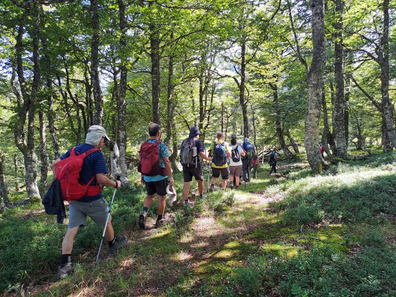 REDES PARKE NATURALA  2024/08/19-25 jardueraren irudiak