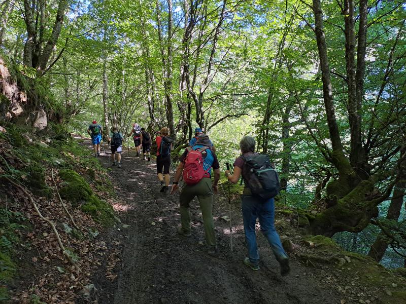 REDES PARKE NATURALA  2024/08/19-25 jardueraren irudiak