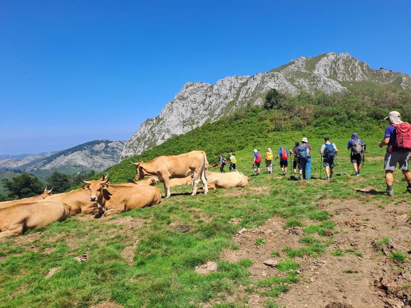 REDES PARKE NATURALA  2024/08/19-25 jardueraren irudiak