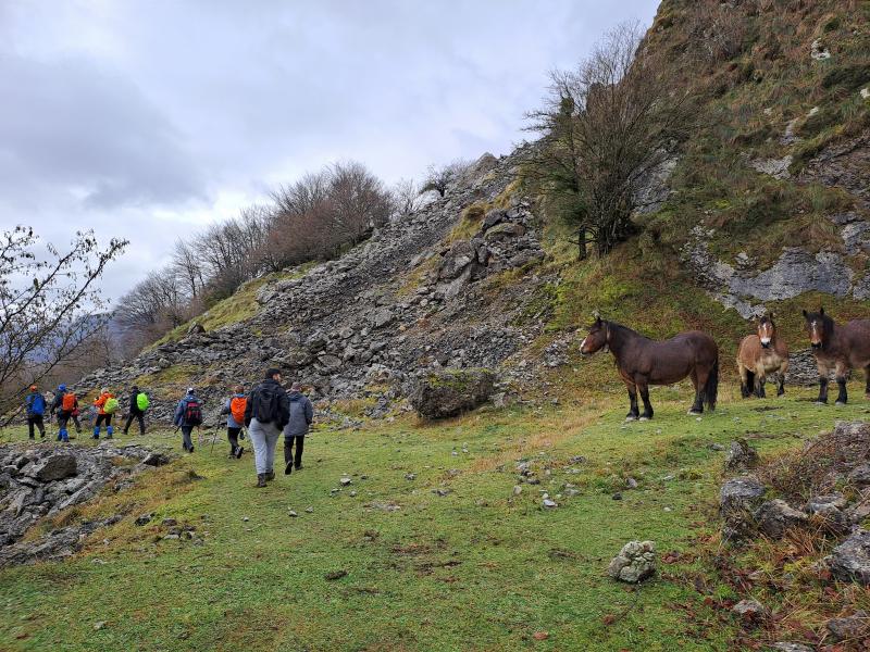 TOLOSAKO MUGAK 7 - BEDAIO (2. zatia) 2024-12-15 jardueraren irudiak