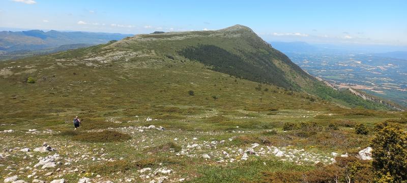 Ver imagen relacionada con la actividadORBAÑANOS - CUBILLA DE LA SIERRA 08-06-2025 