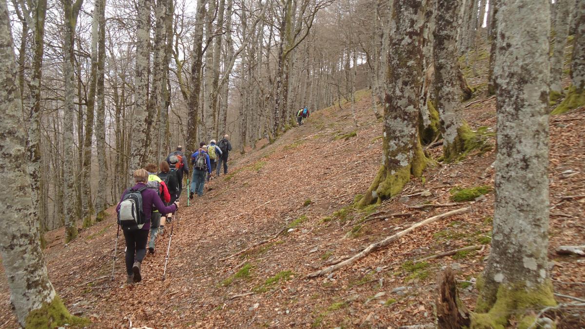 IBAÑETA - ADARTZA - BANKA 2018-04-15 jardueraren irudiak