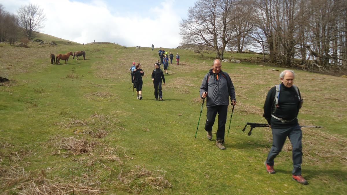 IBAÑETA - ADARTZA - BANKA 2018-04-15 jardueraren irudiak