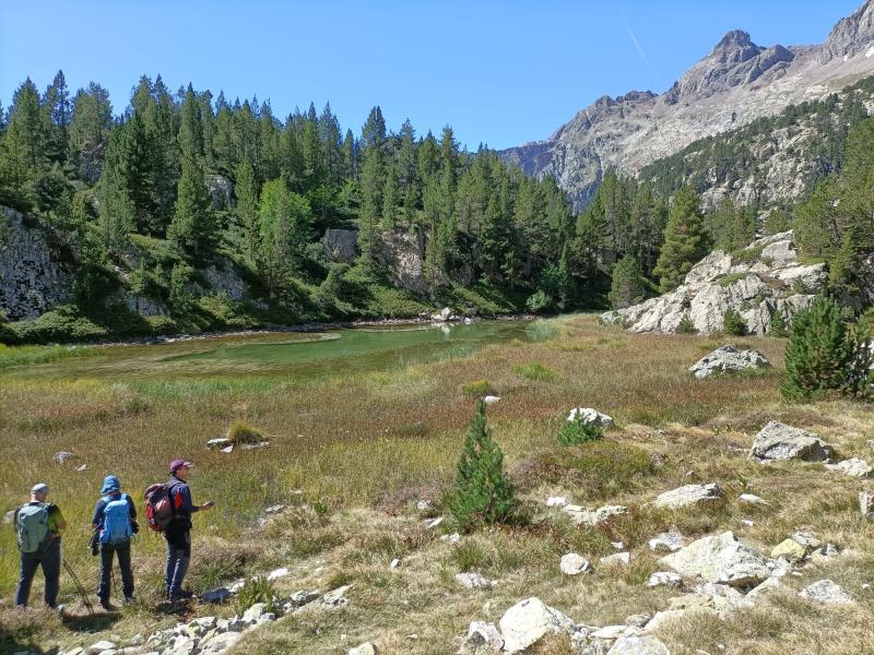 ARRATILLE (PANTICOSA) - 2024 IRAILA 14-15 jardueraren irudiak