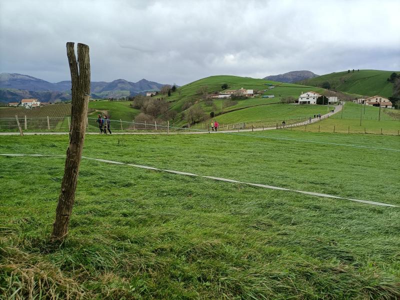  DEBA - ZUMAIA 2025-01-26 jardueraren irudiak