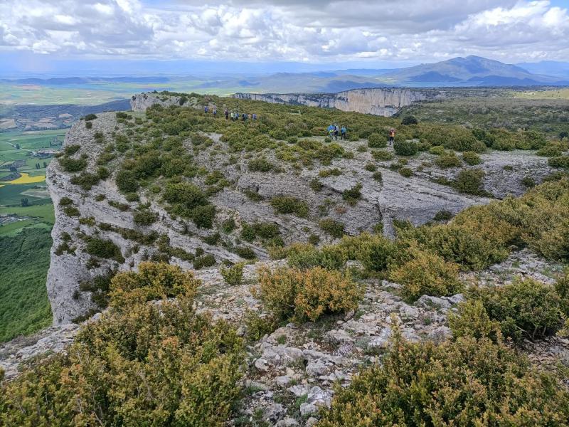 GALDEANO - LOKIZ - OLLOBARREN 2025-05-11 jarduera irakurri osotasunean