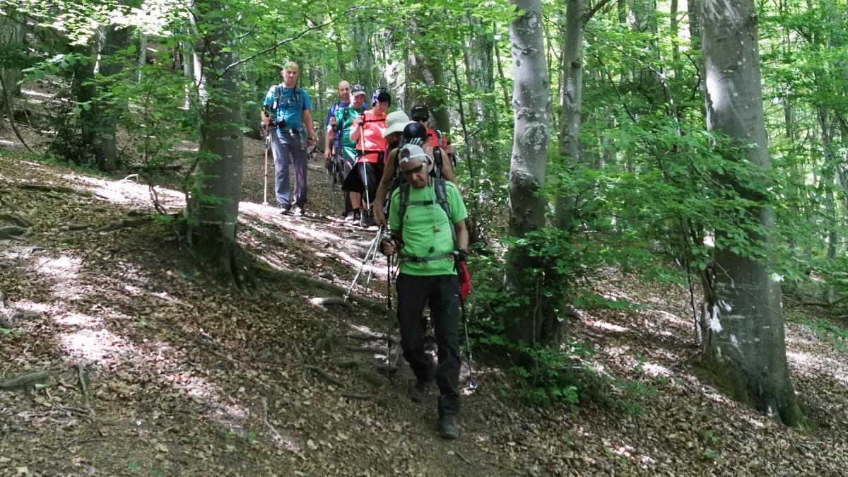 PUEBLA DE ARGANZON - ZALDIARAN -  GASTEIZ  2017-05-14 jardueraren irudiak