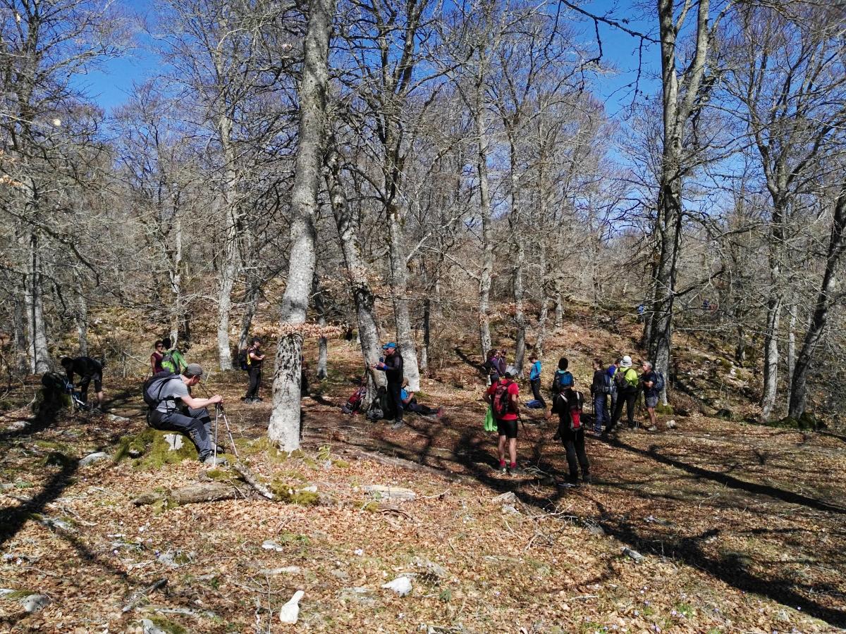 Imágenes de la actividad TORRANO - TREKU - ULTZURRUN 24-03-2019