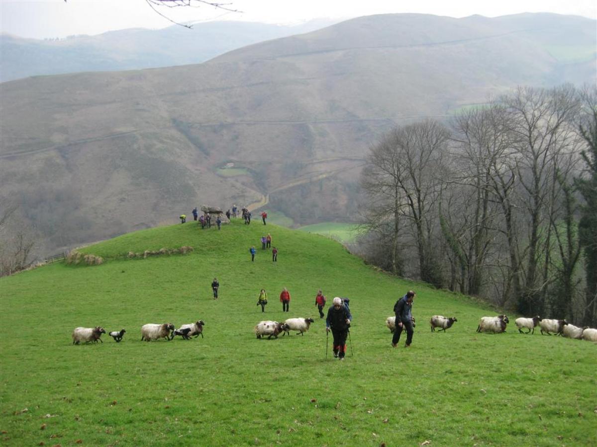 SALBATORE MENDIBE-DONIBANE GARAZI 2016-03-13 jardueraren irudiak