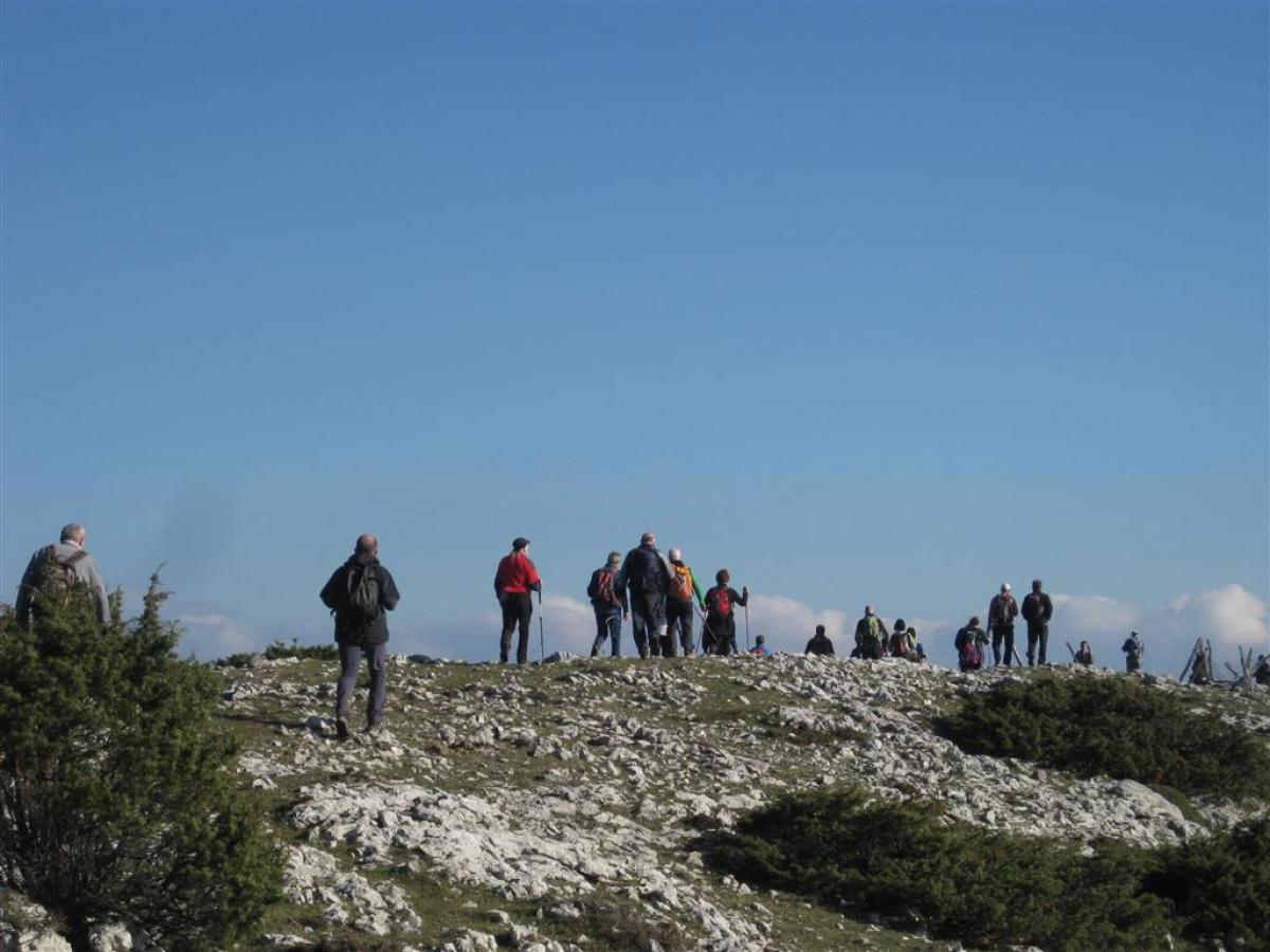 SAN MIGEL - LARRAZPIL - GOLDARATZ 2016-12-18 jardueraren irudiak