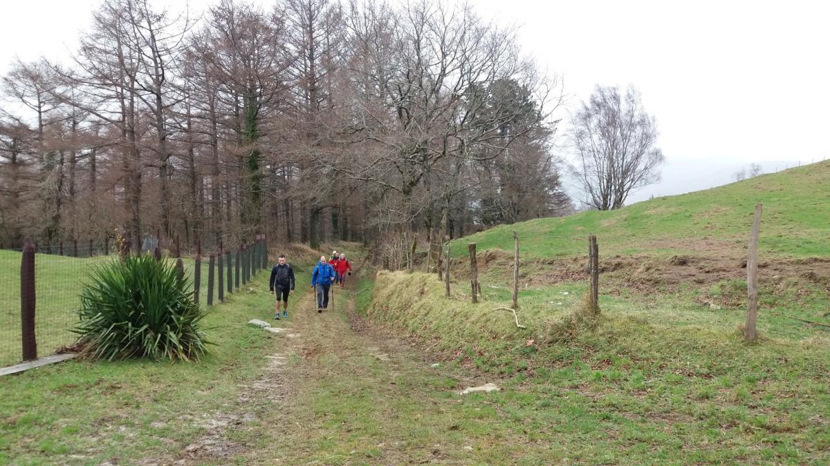 USURBIL - ANDATZA - ZELATUN - LARRAUL 2017-02-12 jardueraren irudiak