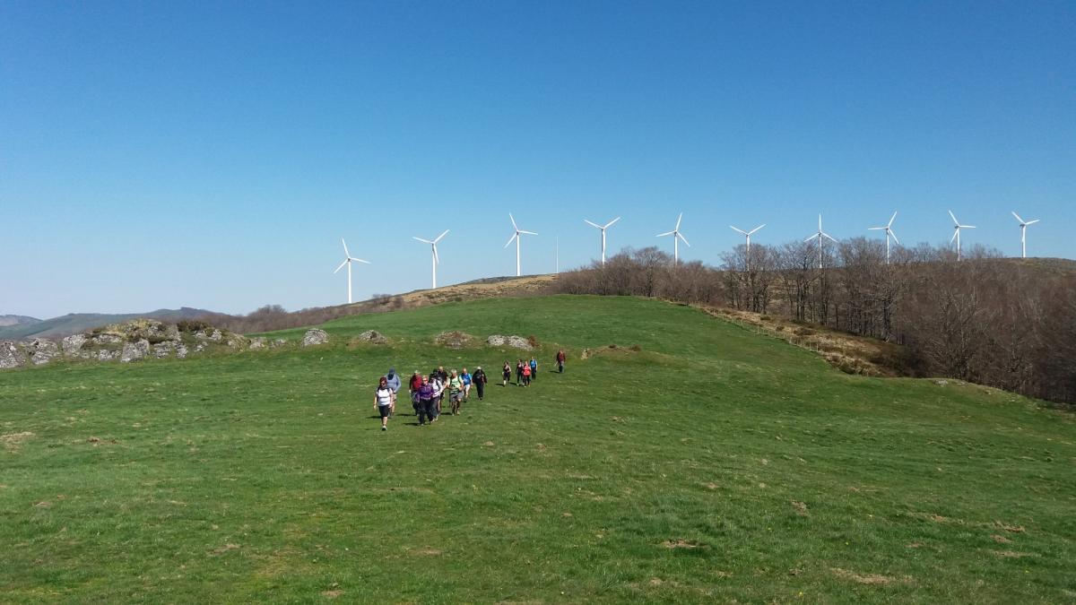 LEITZA-IREBER-ARRARATS 2017-04-09 jardueraren irudiak