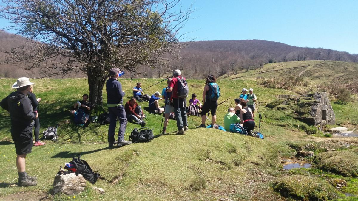 LEITZA-IREBER-ARRARATS 2017-04-09 jardueraren irudiak