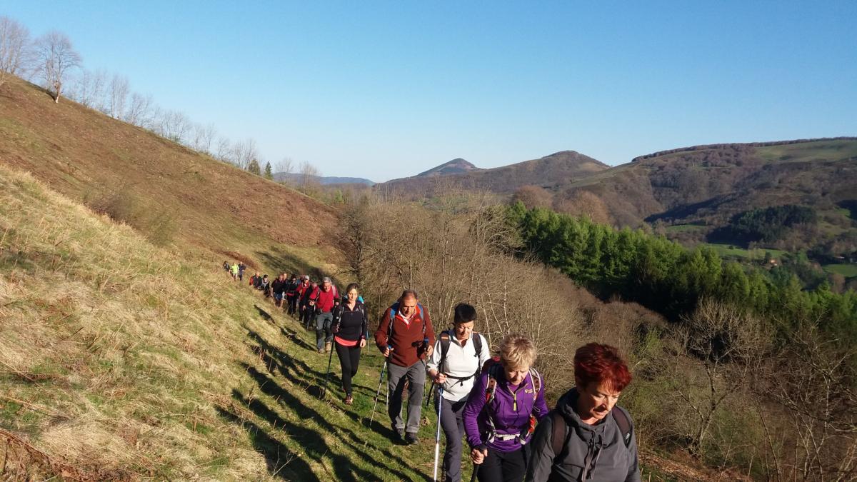 LEITZA-IREBER-ARRARATS 2017-04-09 jardueraren irudiak