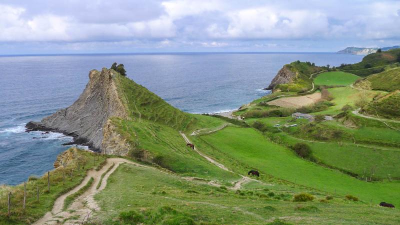 DEBA - ZUMAIA 2025-01-26 jarduera irakurri osotasunean