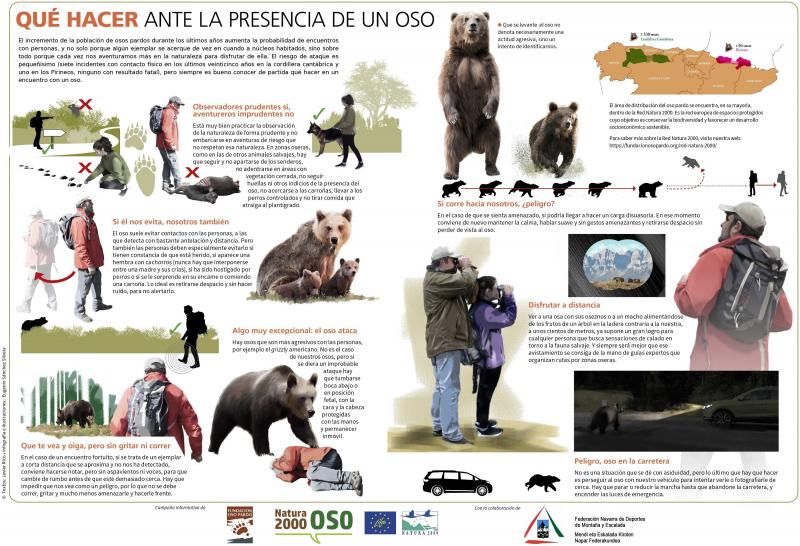 Imágenes de la actividad QUÉ HACER ANTE UN OSO